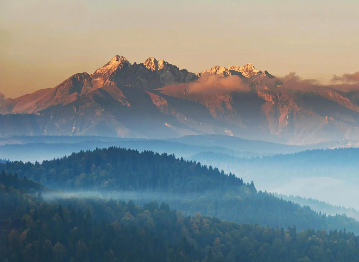 Bazy Danych o produktach i opakowaniach oraz o gospodarce Odpadami na Słowacji: Klucz do Zrównoważonego Rozwoju i Efektywnego Zarządzania Odpadami