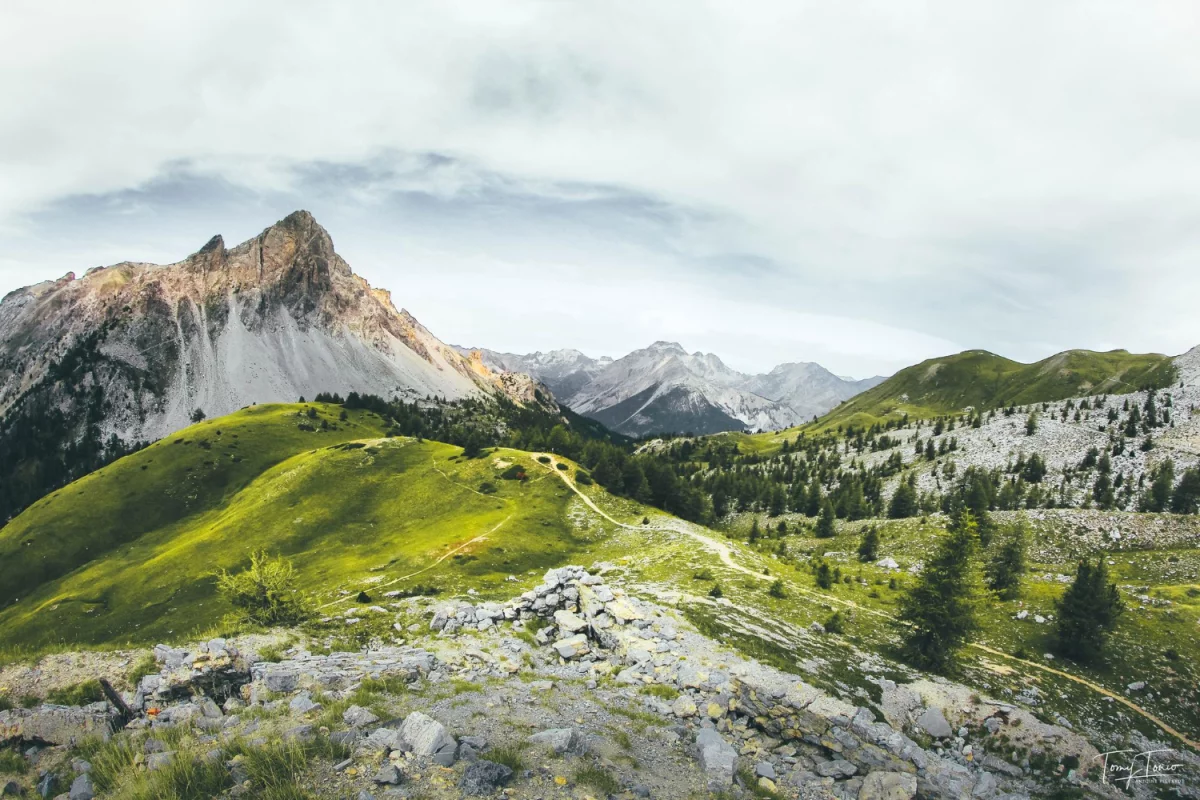 Jak Zoptymalizować SEO Wizytówki Google dla Lepszej Widoczności w Internecie