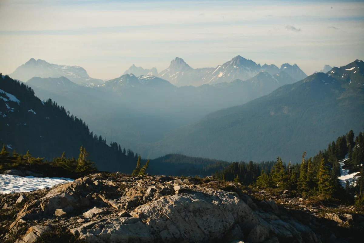 Jak skutecznie zoptymalizować SEO wizytówki Google dla Twojego biznesu?