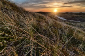 Ochrona środowiska dla budowlanych: Kluczowe zasady i najlepsze praktyki w branży budowlanej